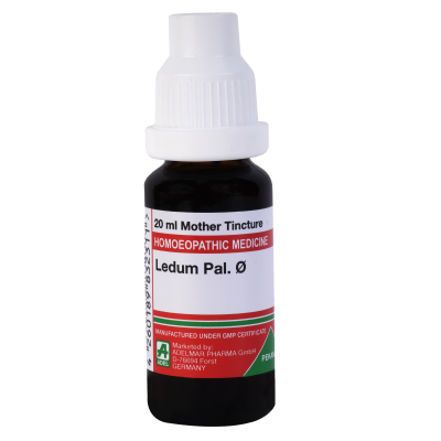 Ledum Palustre 1X (Q) (20ml)